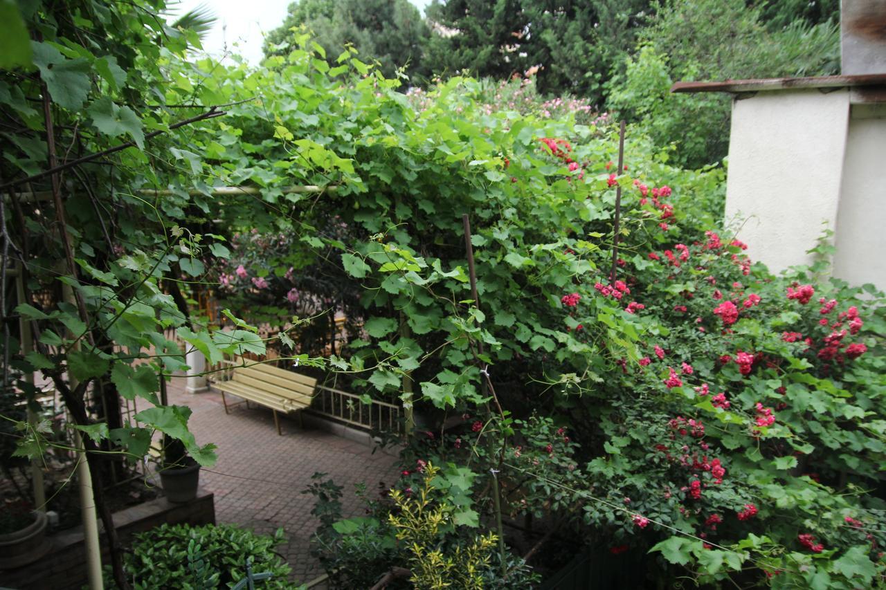 Guesthouse Different Tbilisi Eksteriør billede