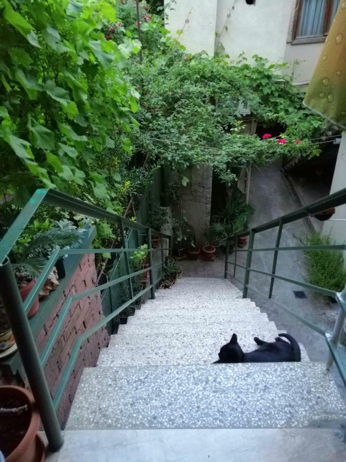Guesthouse Different Tbilisi Eksteriør billede